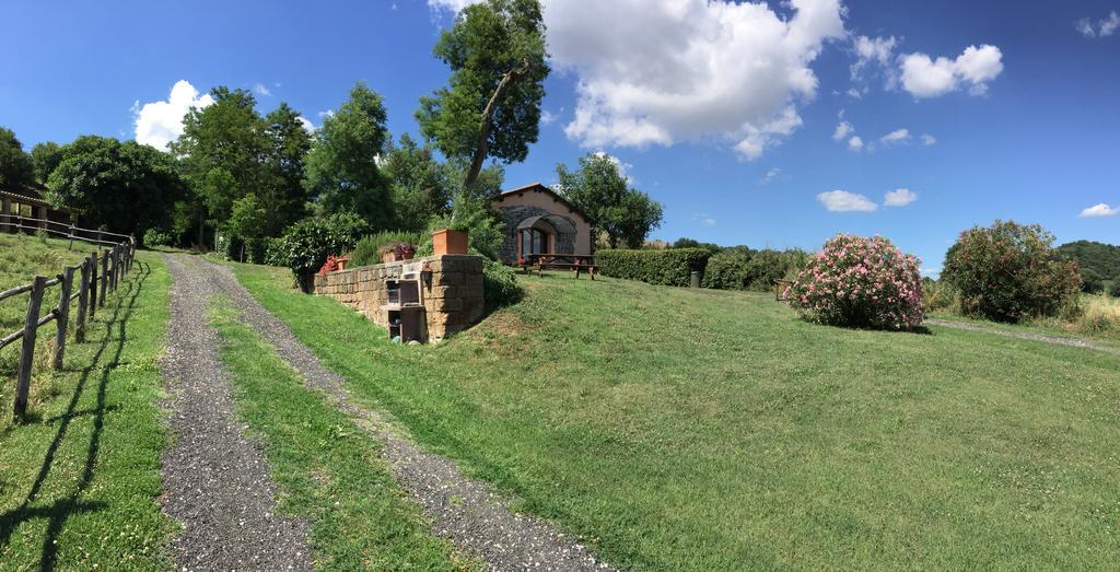 Il Castoro Di Martignano Villa Anguillara Sabazia Kültér fotó