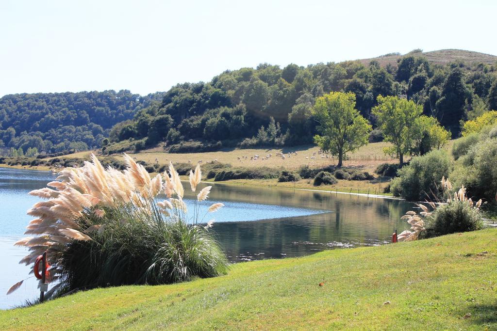Il Castoro Di Martignano Villa Anguillara Sabazia Kültér fotó